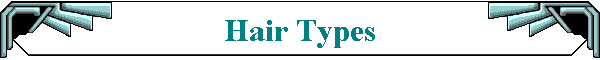 Hair Types