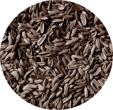 Fennel Tea